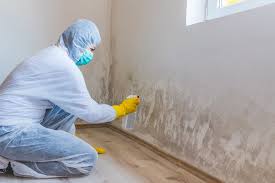 Trusted Arlington, NY Mold Removal & Remediation Experts