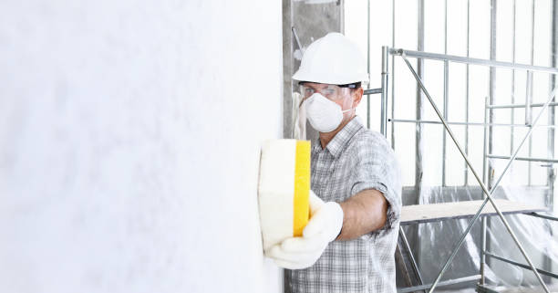 Mold Odor Removal Services in Arlington, NY